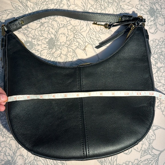 FOSSIL ! - Picture 5 of 6